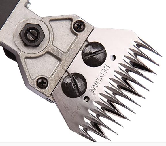 Sheep Goat Shears